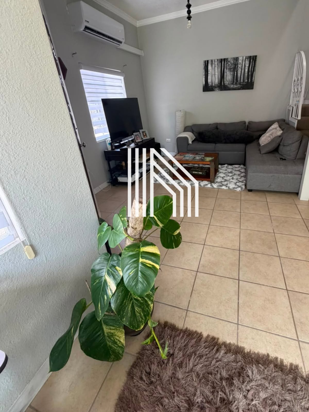 780342933_1002393989469527_5635833749601608242_n